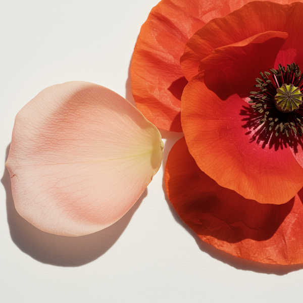 Deeper Than Sun Signs: A Guide to True Astrological Compatibility Using Venus and Mars
